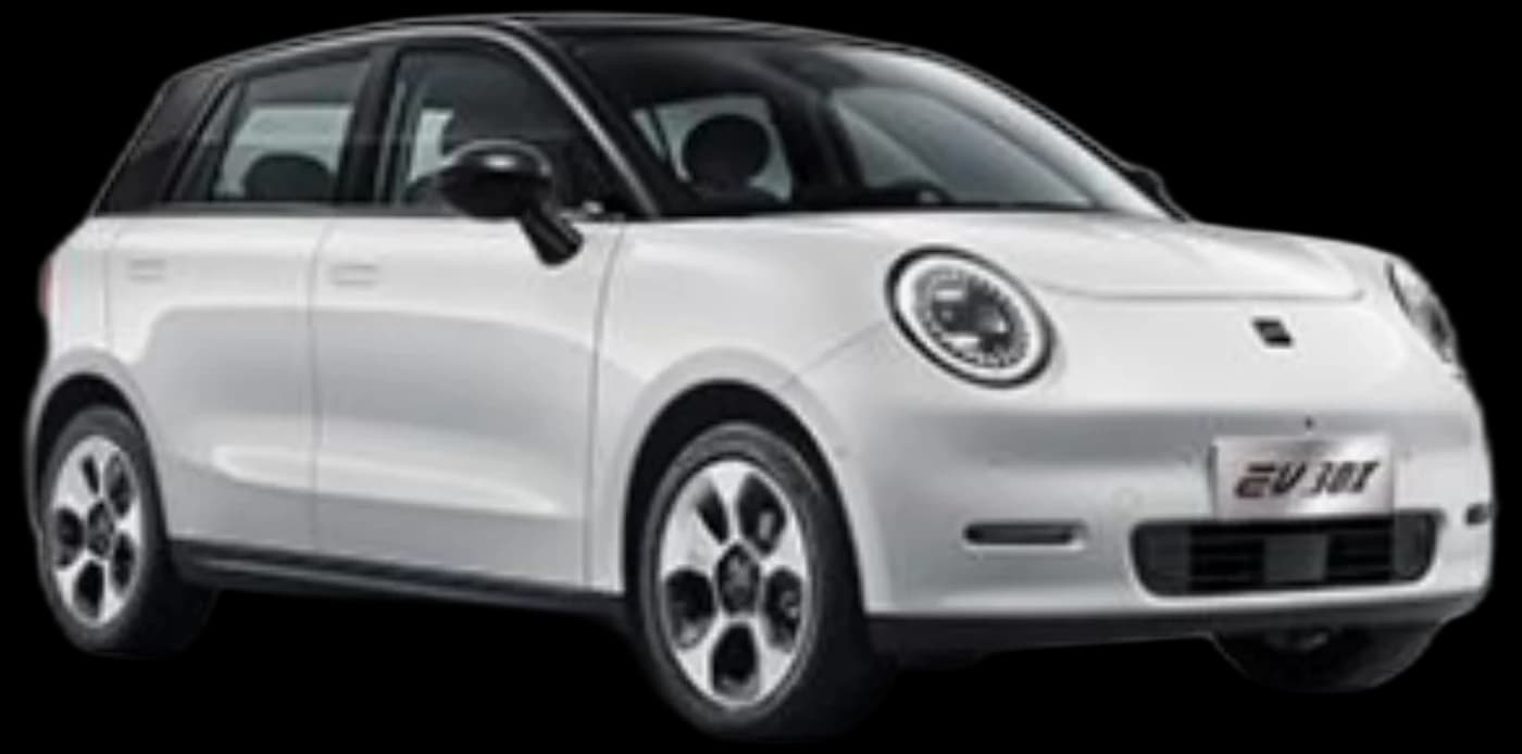 JAC EV 30X